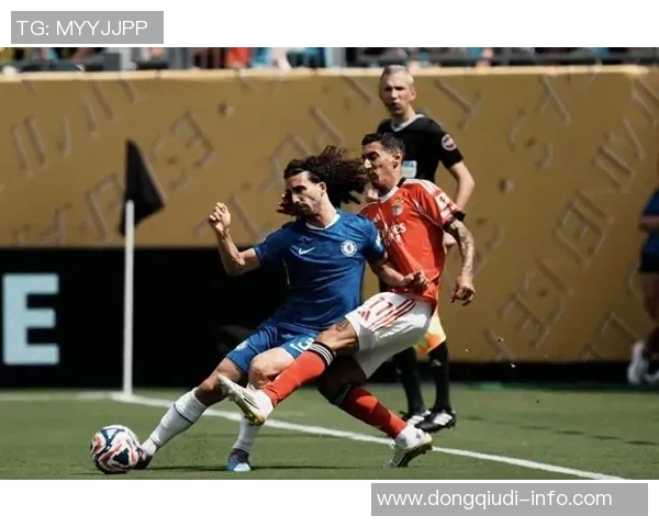 意甲惊现冷门本菲卡逆转切尔西上演精彩绝伦的比赛瞬间